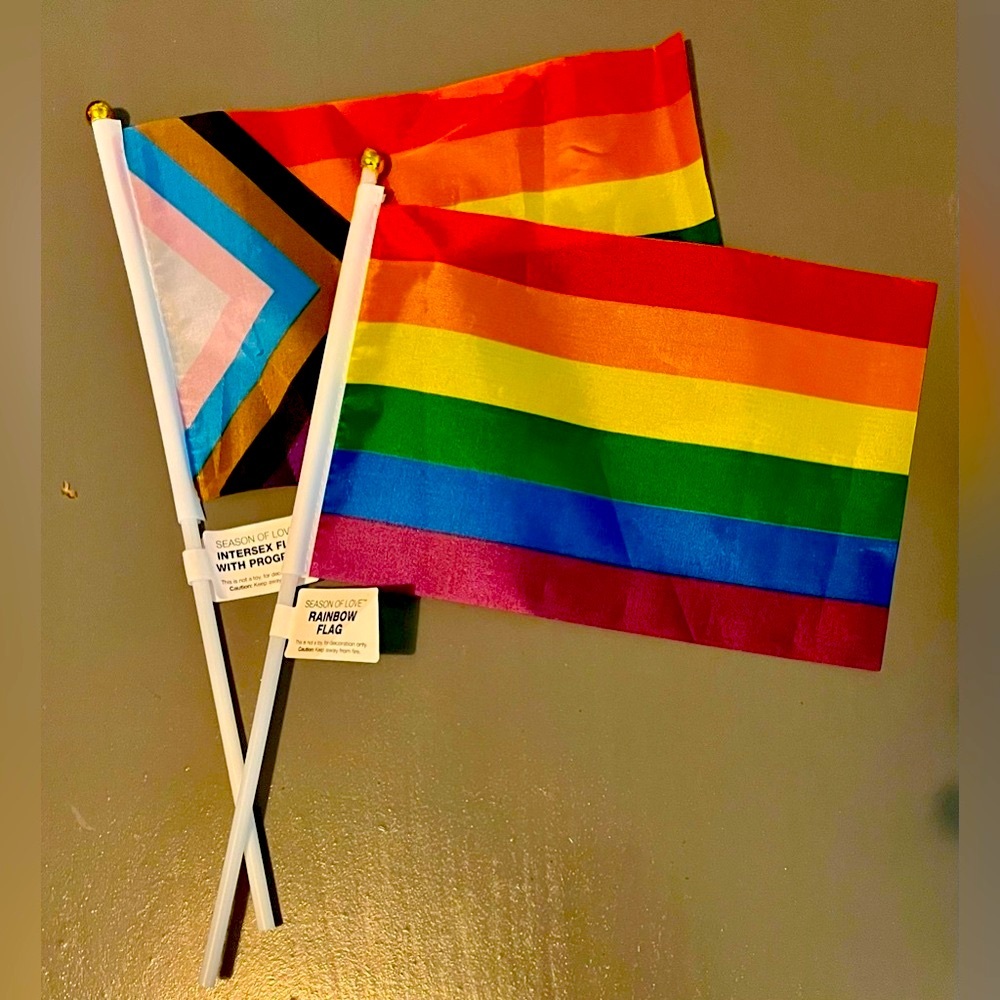 NWT! 🌈 PRIDE MONTH BUNDLES! HAPPY PRIDE MONTH! I HAVE 2 OF THESE BUNDLES! 🌈 - Picture 6 of 15